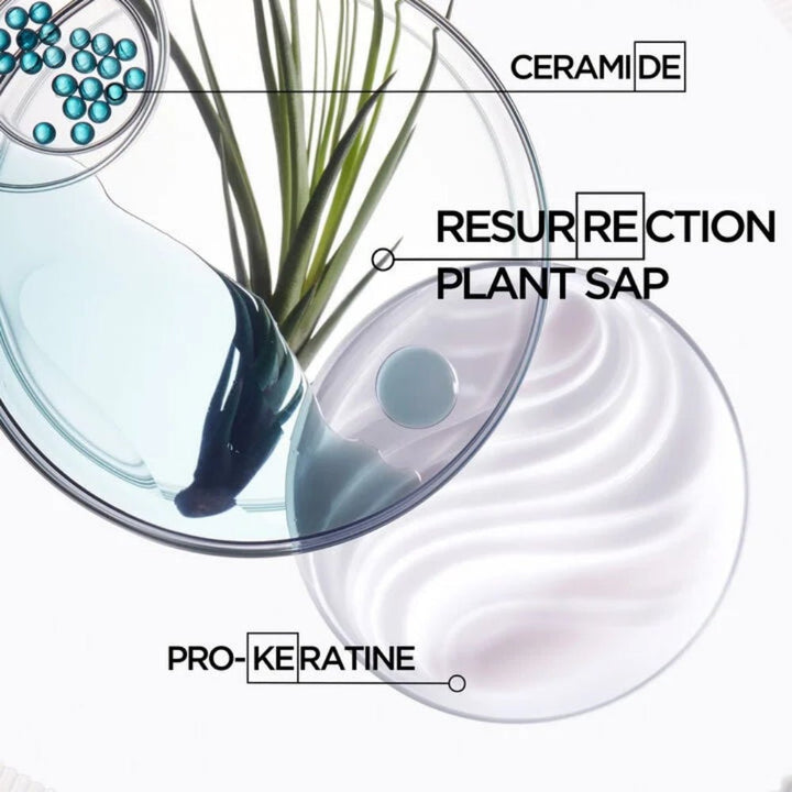 Kerastase Résistance Cofanetto Natale 2024 Bain Force Architecte, Ciment Anti - Usure e Ciment Thermique - Capelli