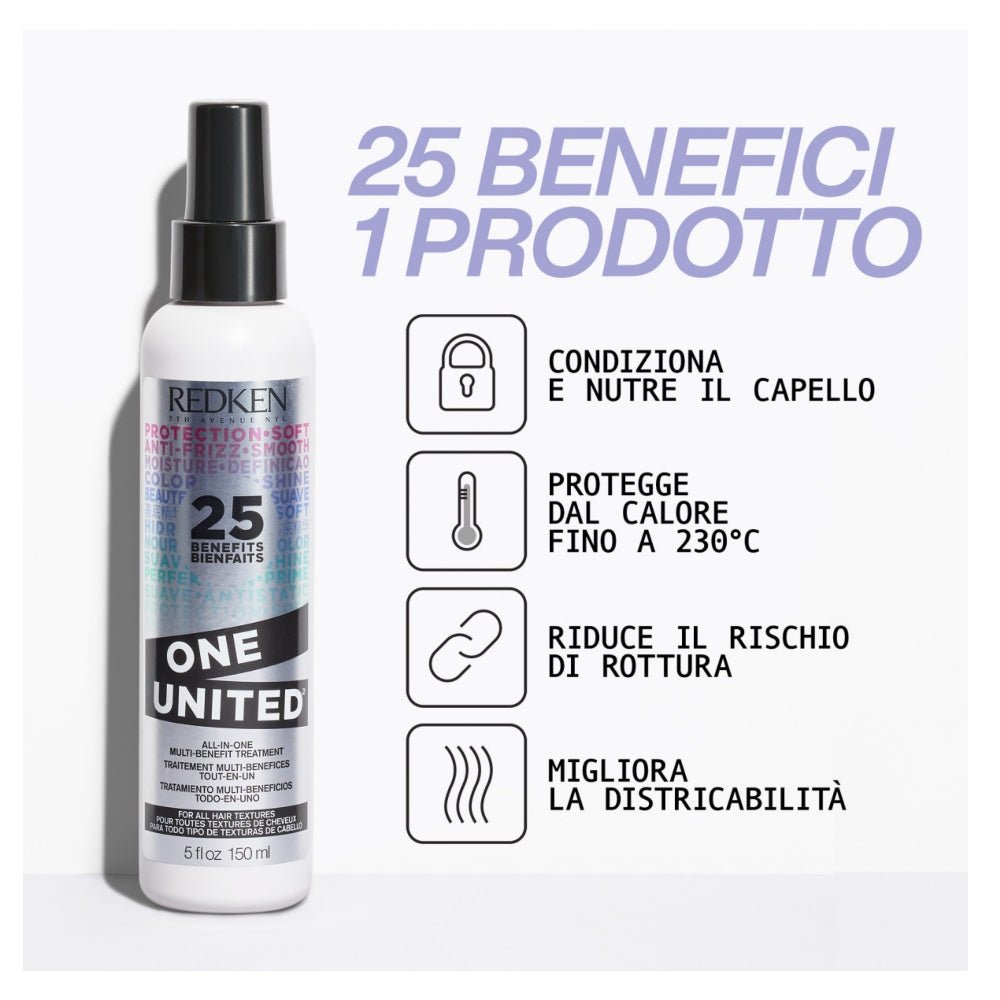 Redken Cofanetto Natalizio Frizz Dismiss Shampoo Conditioner e One United - Capelli